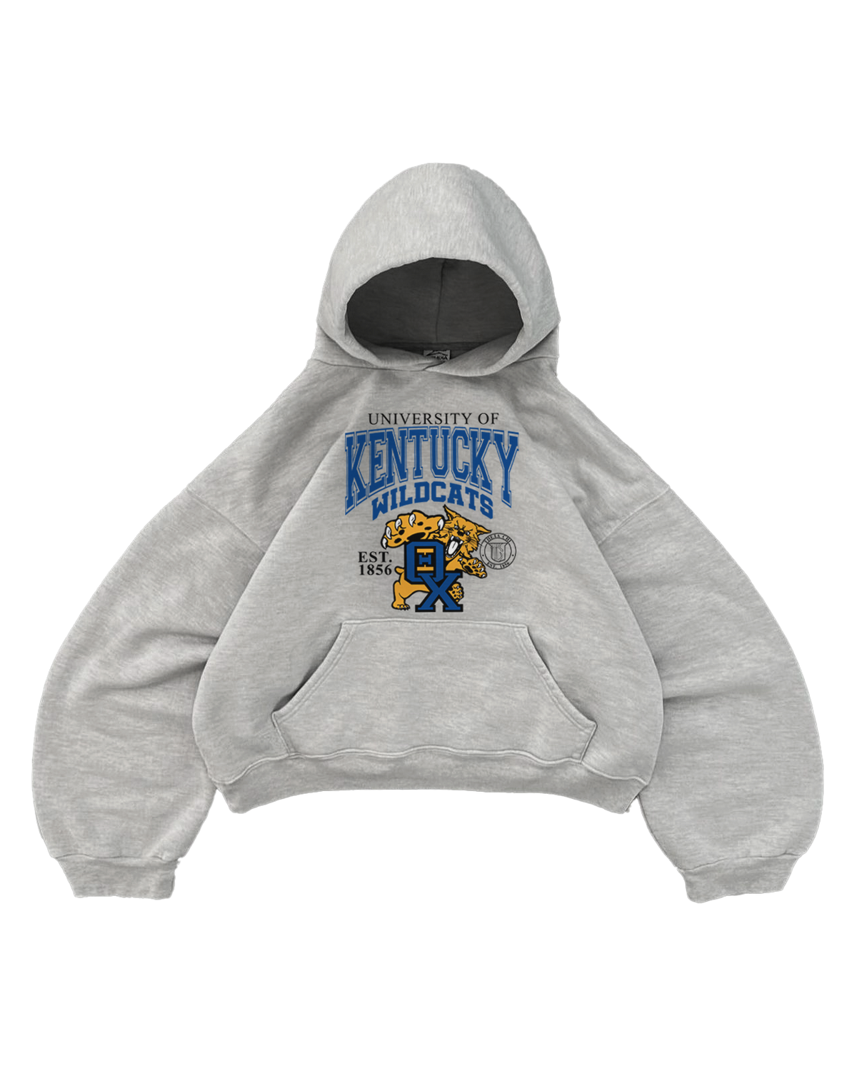 SWEAT À CAPUCHE GRIS KENTUCKY