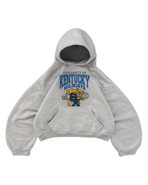 SWEAT À CAPUCHE GRIS KENTUCKY