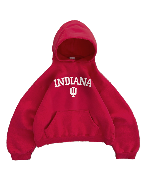 INDIANA HOODIE
