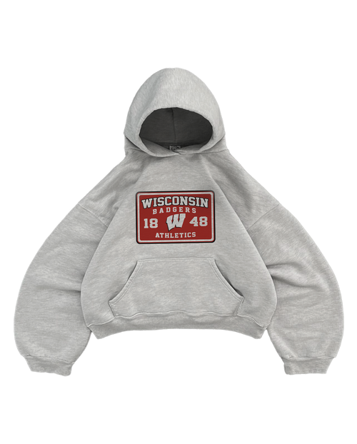WISCONSIN GREY HOODIE