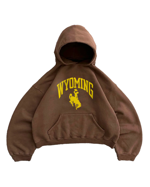 SUDADERA CON CAPUCHA MARRÓN WYOMING