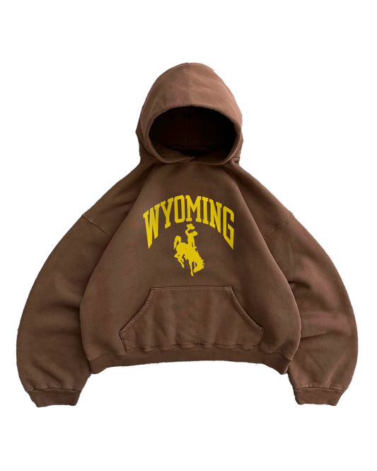 WYOMING BROWN HOODIE